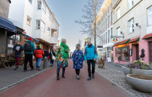 Your Friend in Reykjavik2