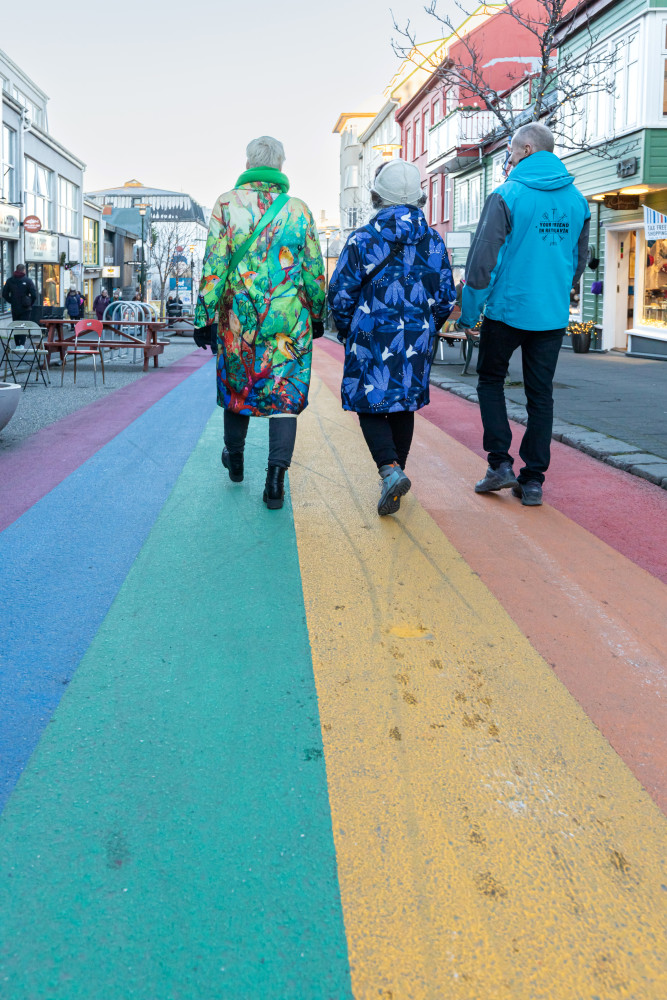 Private Reykjavik Walking Tour - 3 Hours