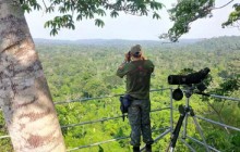 Amazon & North Pantanal - Wildlife & Nature in Brazil