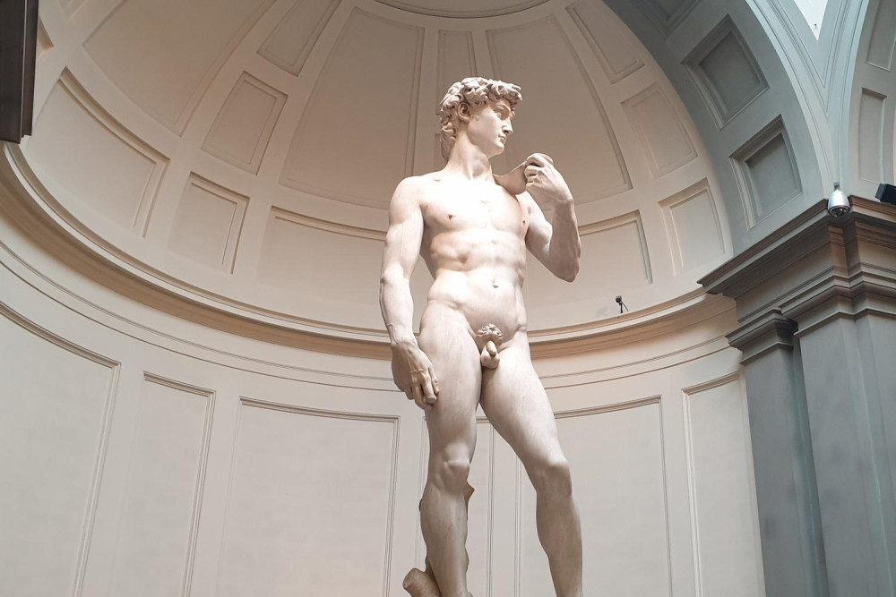Skip the line fixed entrance: Michelangelo's David