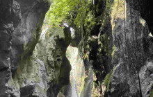 Localtrips4u13