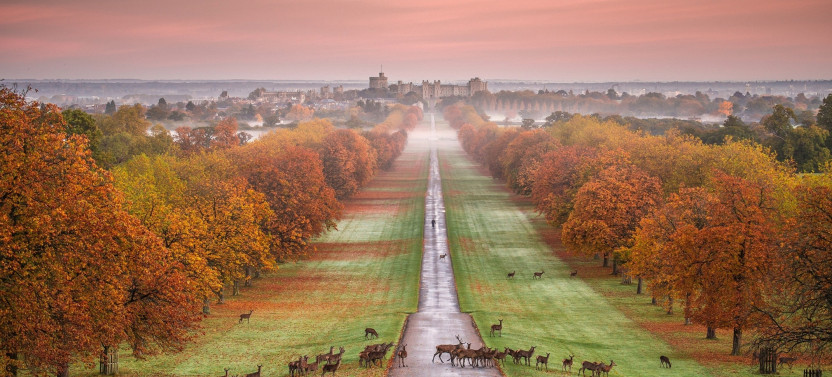 Windsor Castle and Hampton Court Palace