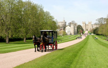 Golden Tours3