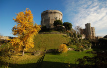Golden Tours1