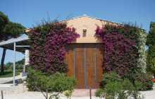 Enotropea Tours10