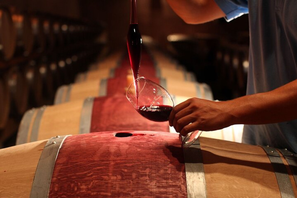 Exclusive Bolgheri from Florence: The Land of the Super Tuscan