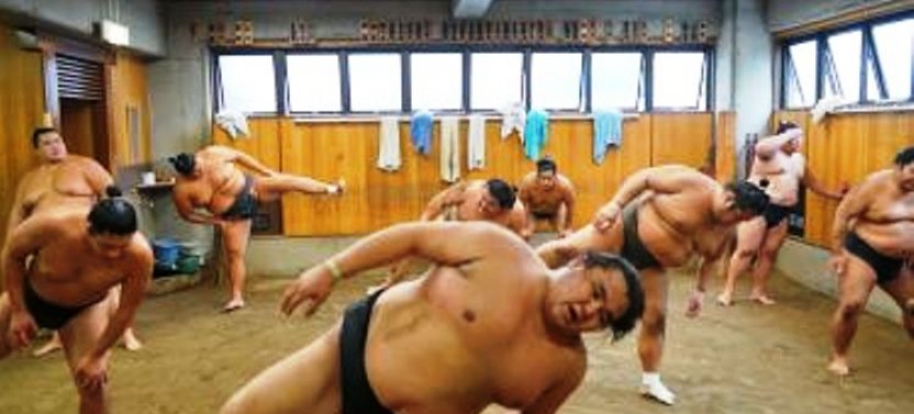Tokyo Small Group Sumo Morning Practice Tour