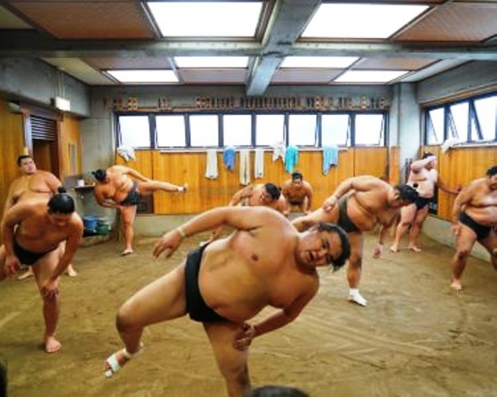 Tokyo Small Group Sumo Morning Practice Tour