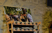 Enotropea Tours7
