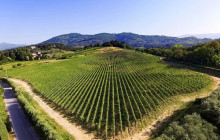 Enotropea Tours16