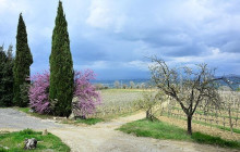 Enotropea Tours18