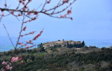 Enotropea Tours26