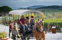 Enotropea Tours2