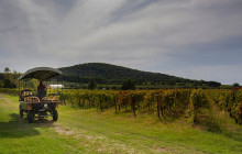 Enotropea Tours3