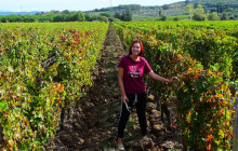 Enotropea Tours6