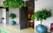 Enotropea Tours10