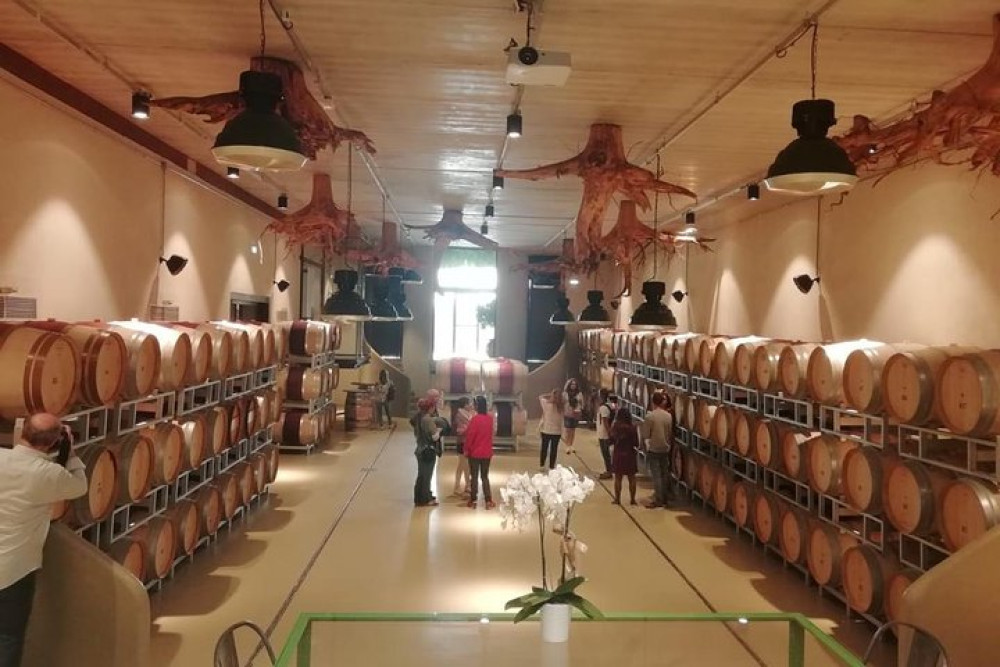 Exclusive Suvereto tour from Florence: Land of Elisa Bonaparte