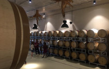 Enotropea Tours14