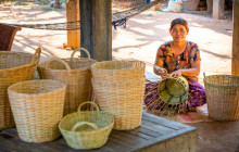 Discova Day Tours and Activities3