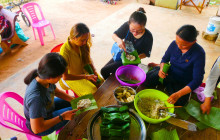 Discova Day Tours and Activities1