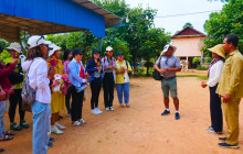 Discova Day Tours and Activities6