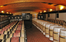 Enotropea Tours7