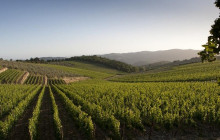 Enotropea Tours12