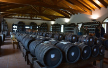 Enotropea Tours9