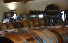 Enotropea Tours9