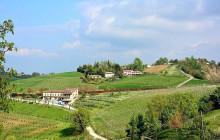 Enotropea Tours15