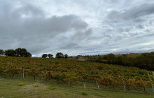 Enotropea Tours6