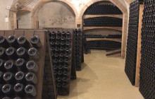 Enotropea Tours1