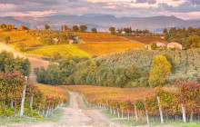 Enotropea Tours14