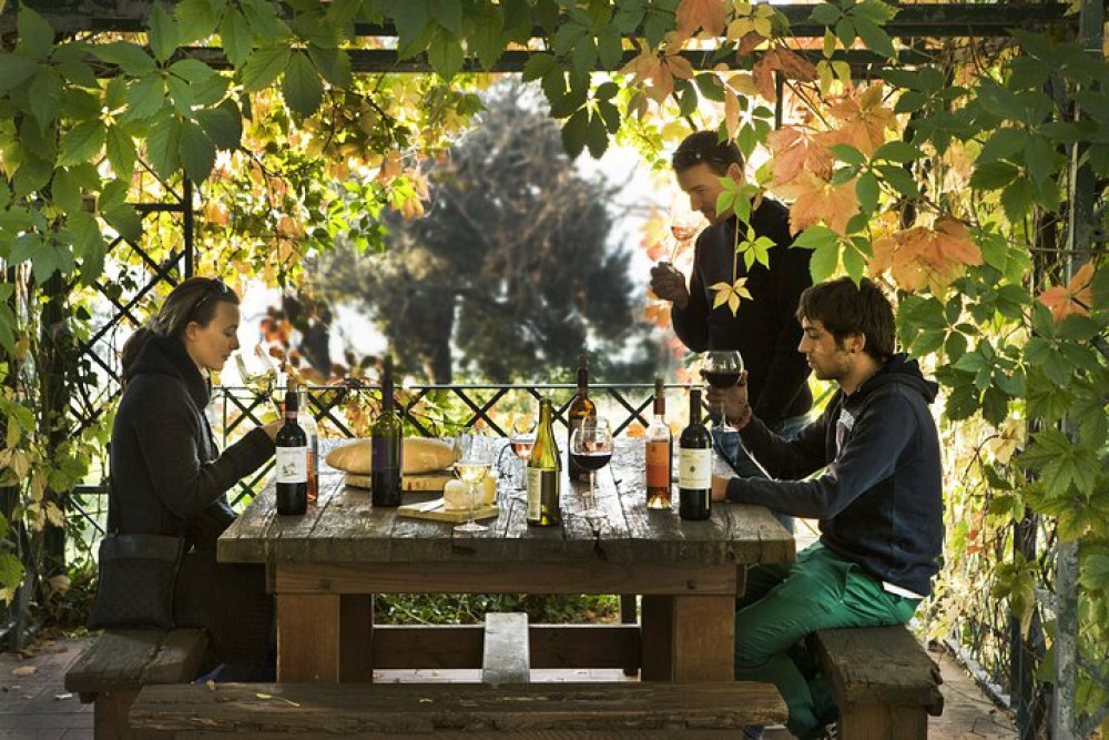 Private Chianti Rufina Half Day Tour with Lunch from Florence