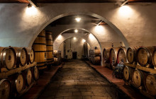 Enotropea Tours10