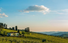 Enotropea Tours9