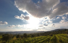 Enotropea Tours9