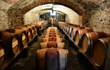 Enotropea Tours2