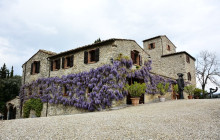 Enotropea Tours10