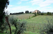 Enotropea Tours18