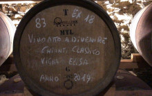 Enotropea Tours22