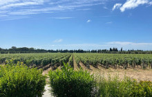 Enotropea Tours24
