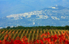 Enotropea Tours2