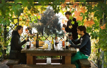 Enotropea Tours6