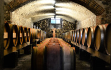 Enotropea Tours3