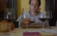 Enotropea Tours5