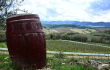 Enotropea Tours16