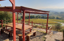 Enotropea Tours17