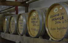 Enotropea Tours19