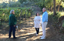 Enotropea Tours8